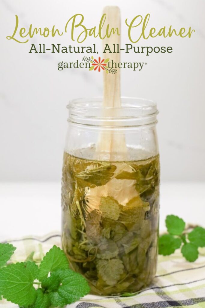 Pin image for all-natural, all-purpose lemon balm cleaner