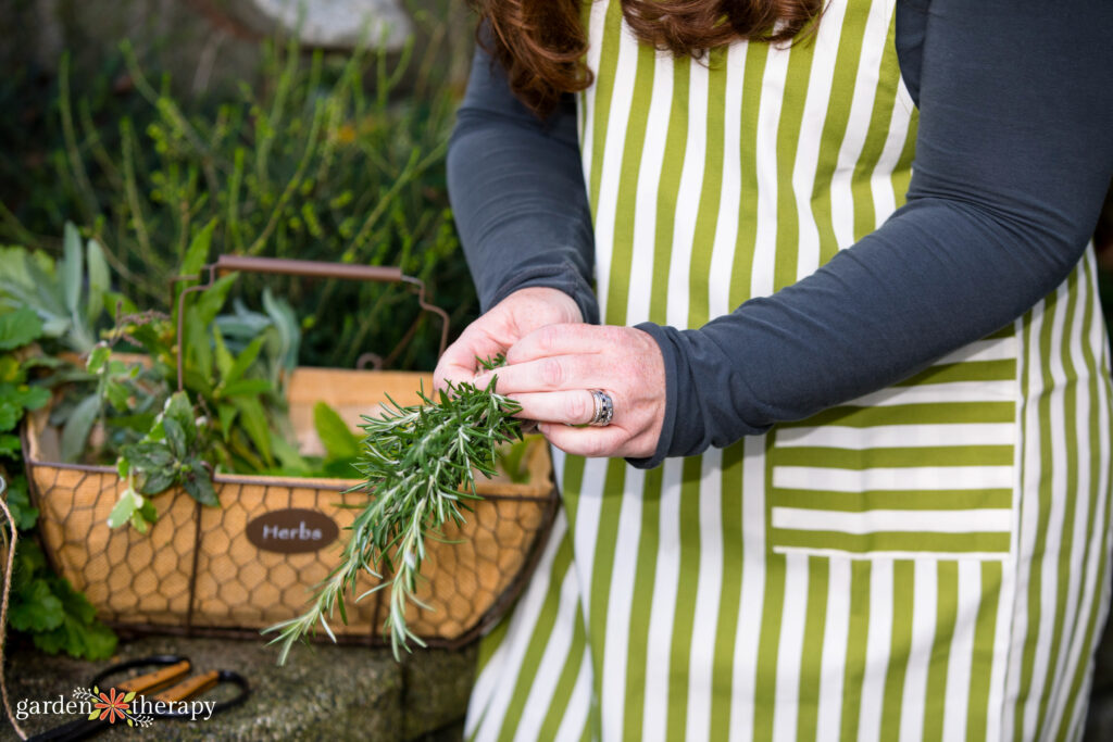 Stephanie holding rosemary