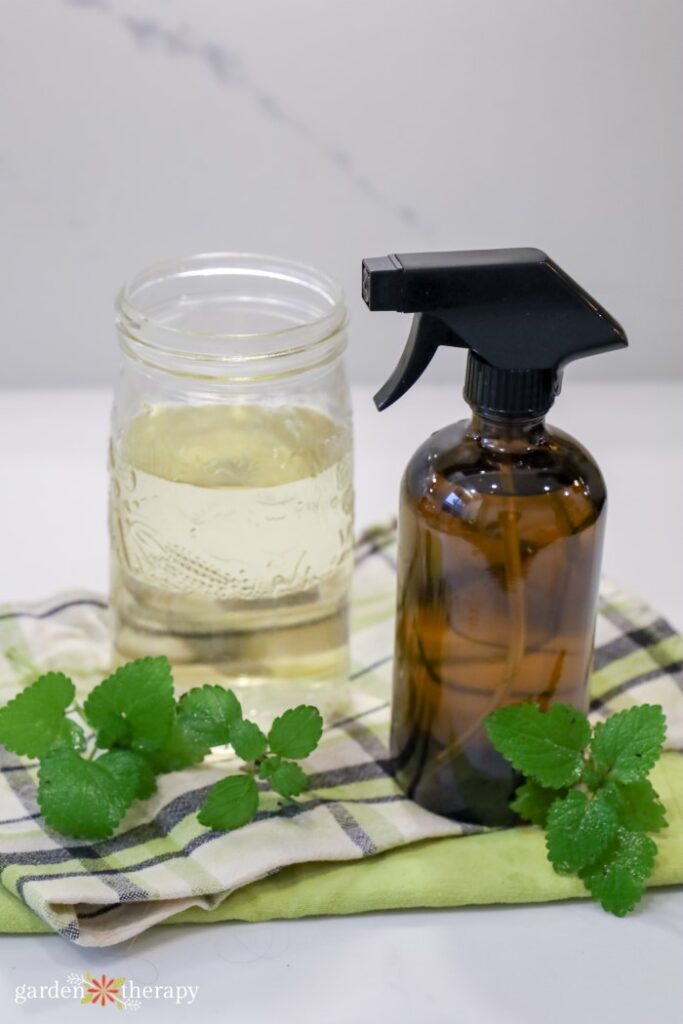 DIY cleaning spray with lemon balm