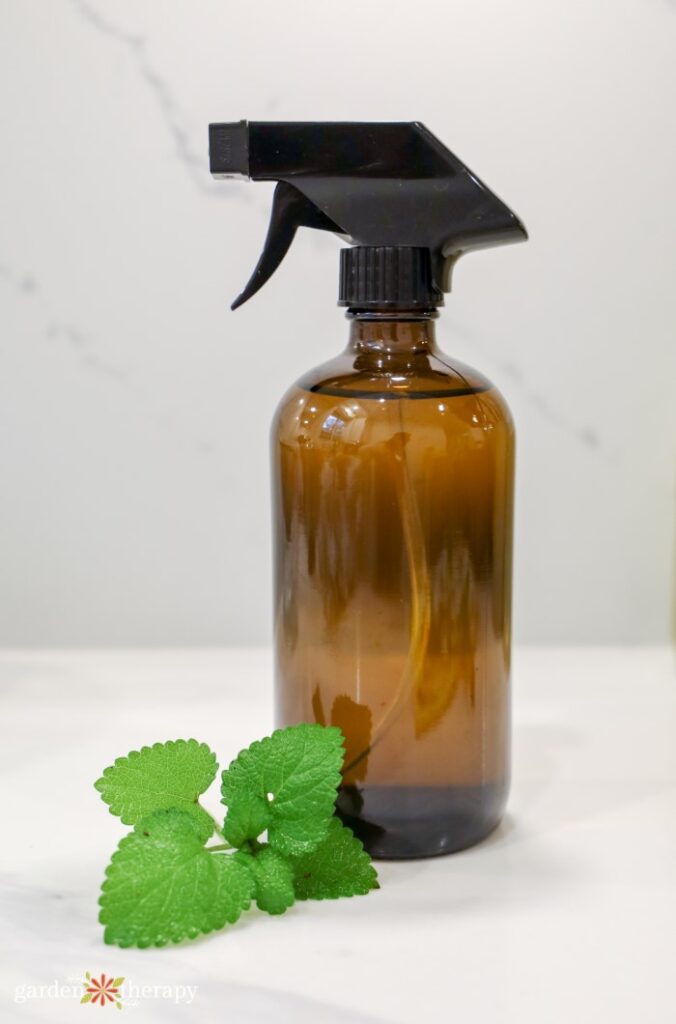 lemon balm cleaning spray