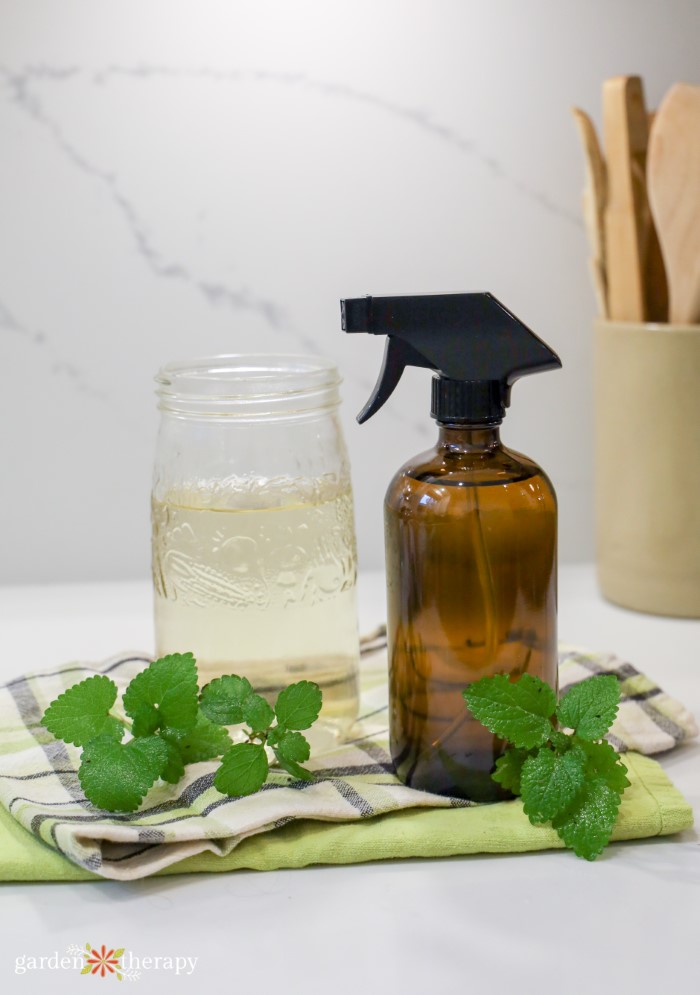 lemon balm DIY cleaning spray