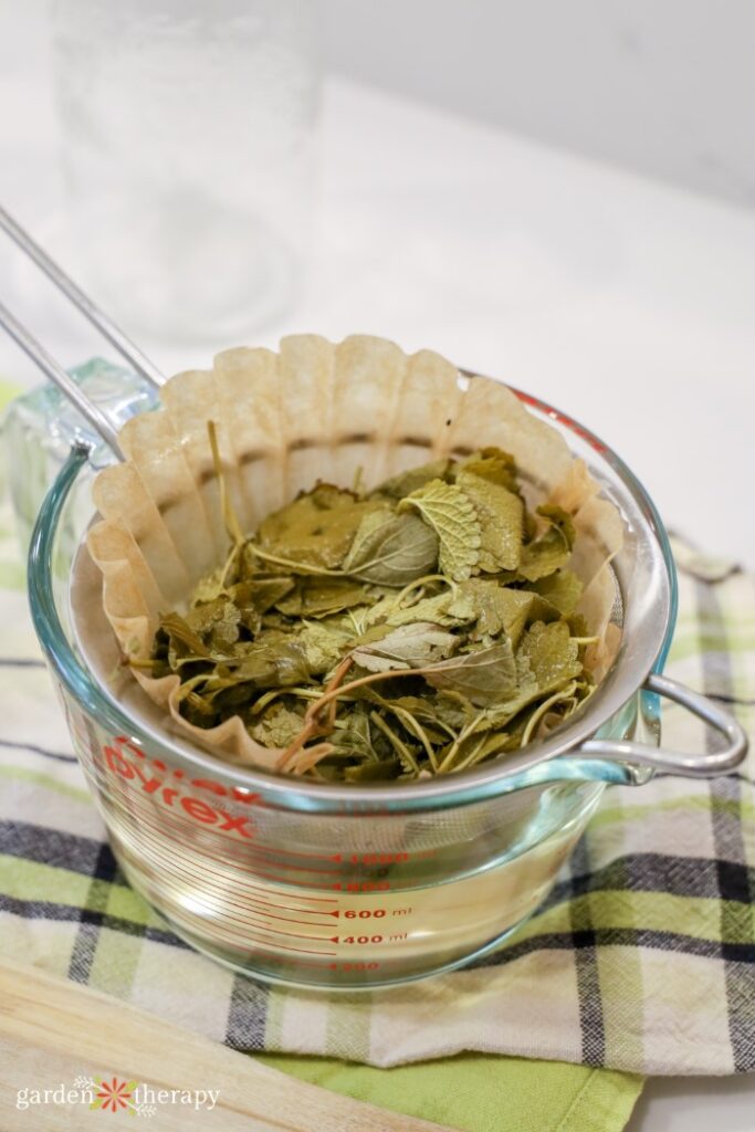 filtering lemon balm and vinegar