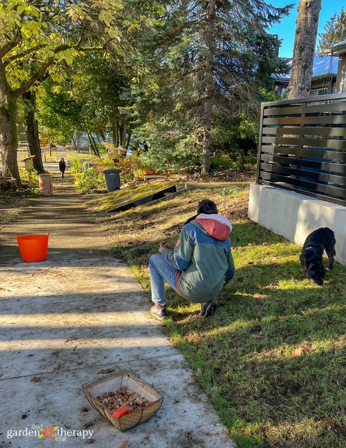 sidewalk strip landscaping with neighbours