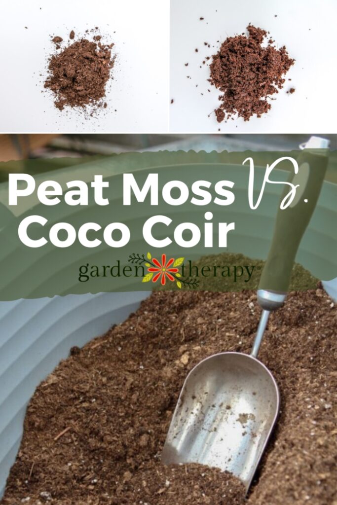 Pin image for Peat Moss vs. Coco Coir and how to tell them apart.