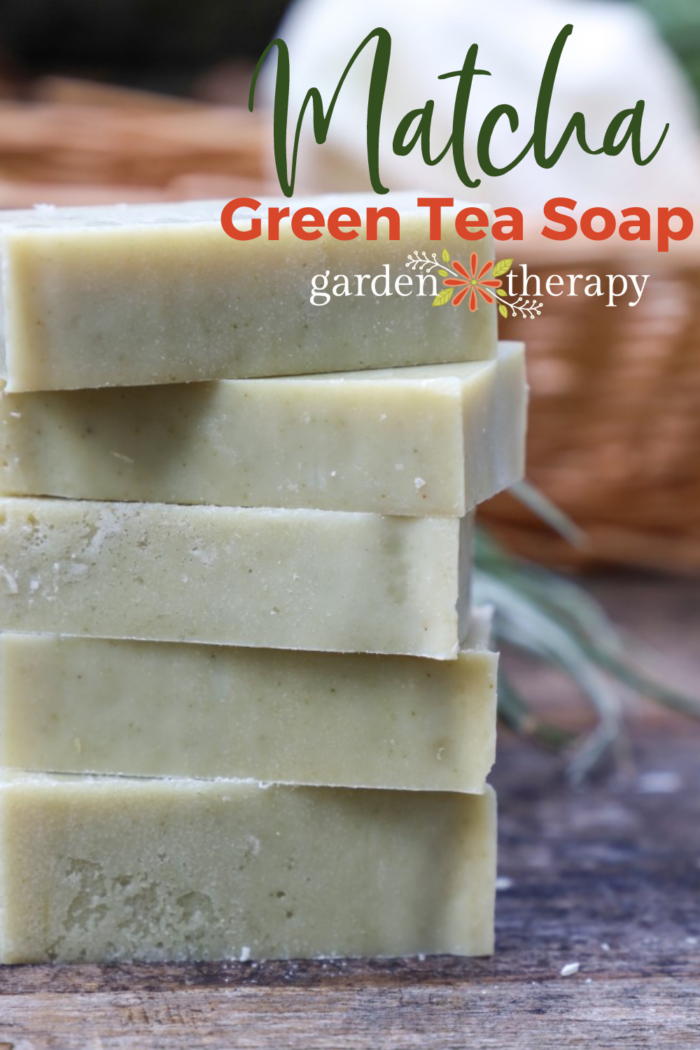 It’s Tea O’Clock! Matcha Green Tea Soap Recipe Garden Therapy