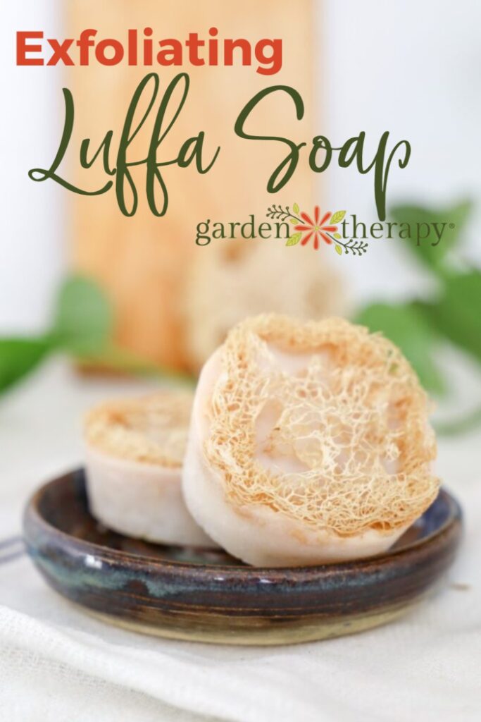 Pin image for homemade, exfoliating loofah soap