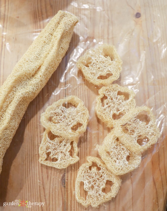 cut loofah slices