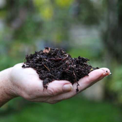 Simple Vegetable Gardening in Hanging Baskets Garden Therapy
