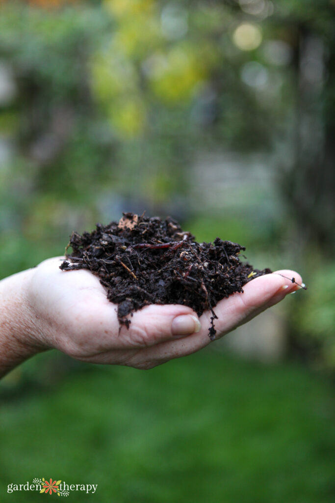 handful of soil showing the powerful relationship between plants and people