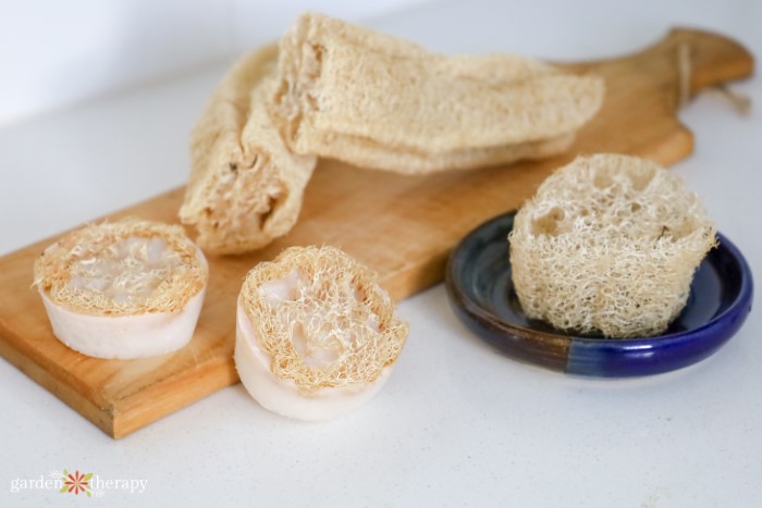 Wooden board topped with DIY loofah soap 