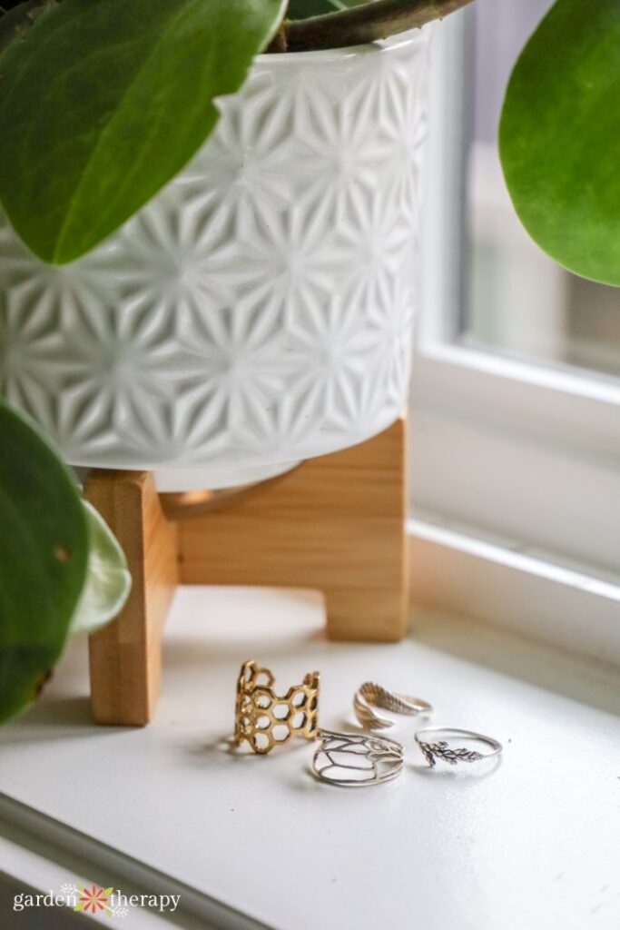 rings on window ledge next to houseplant