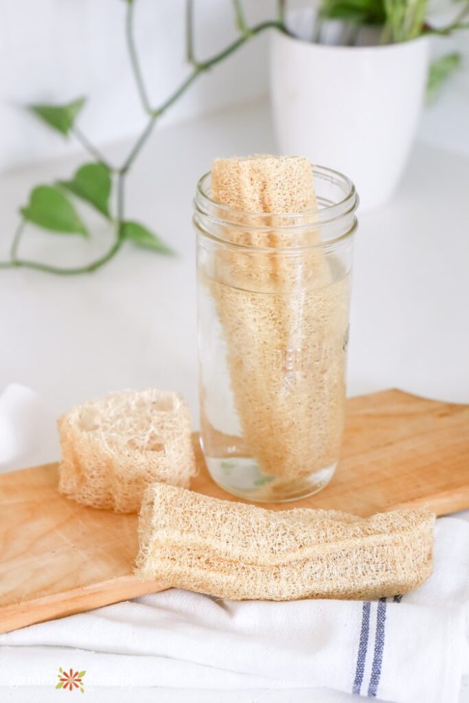 loofah soaking in a cup of water