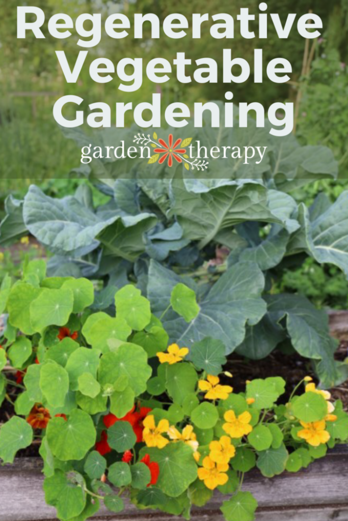 Pin image for regenerative vegetable gardening for the at home gardener.