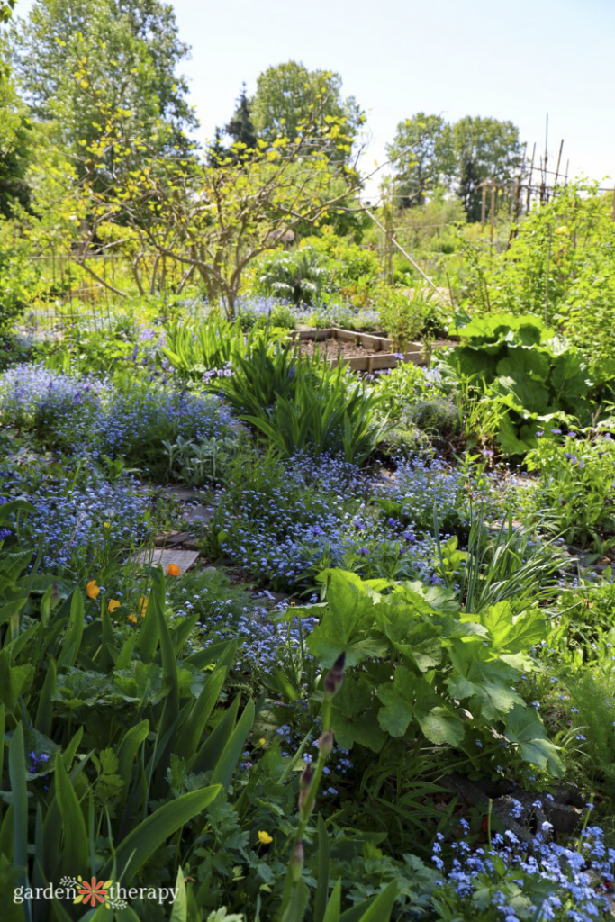 garden with permaculture design