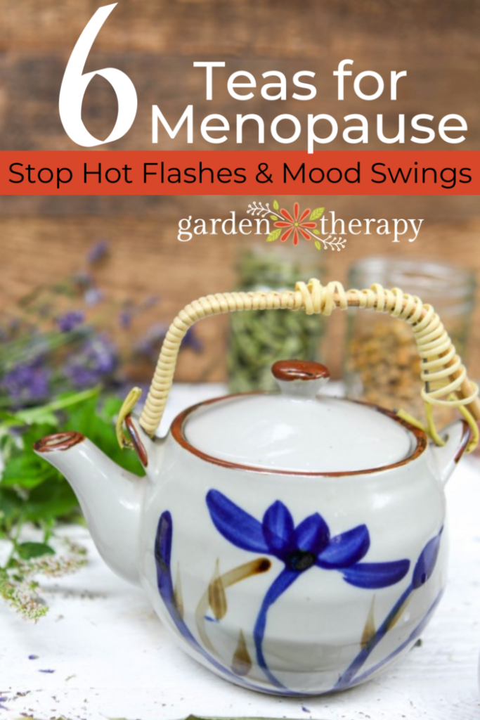 Pin image for 6 herbal teas for menopause