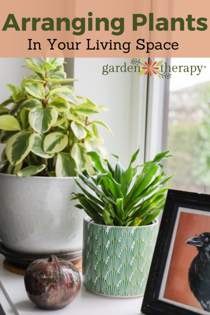 Pin image for arranging plants in your living space