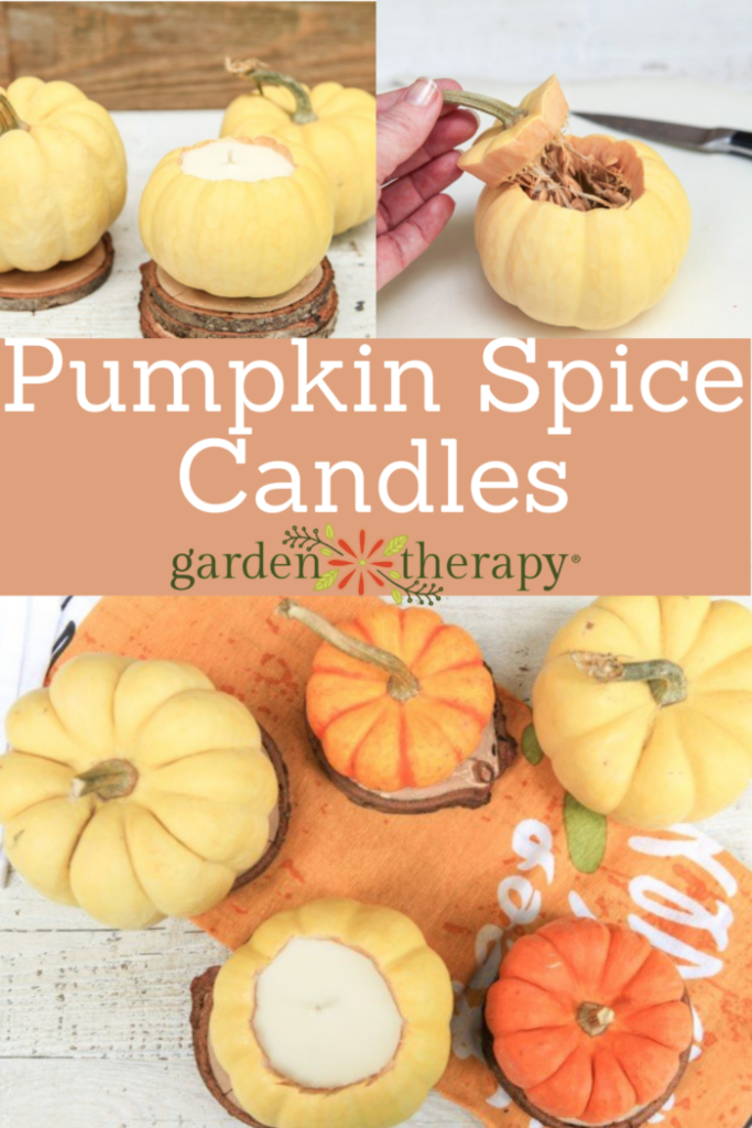 Pin image for a pumpkin spice candle recipe