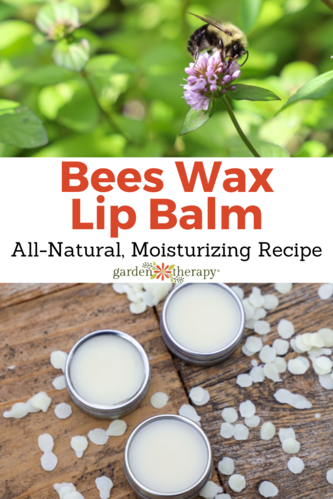 Pin image for bees wax lip balm