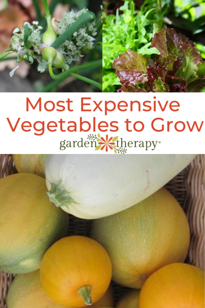 Pin image for the most expensive vegetables to grow