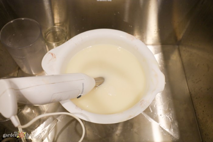 immersion blender for soap making