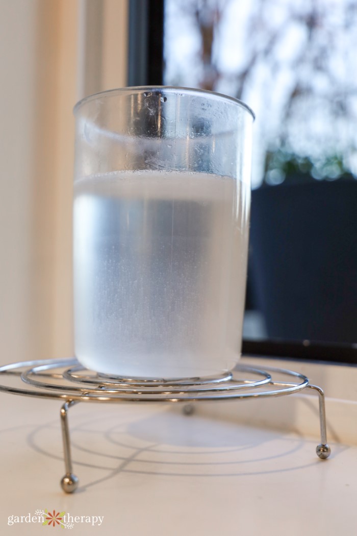 Homemade Irish Spring Soap With a Fresh and Natural Scent Garden Therapy