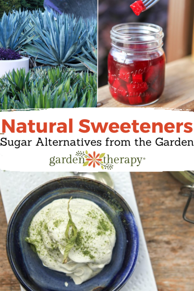 Pin image for natural sweeteners with sugar substitutes from the garden