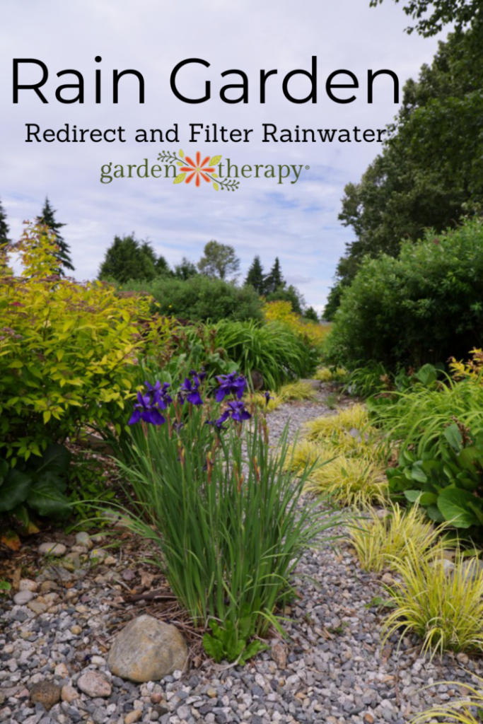 Pin image for how to make your own rain garden to redirect and filter rainwater