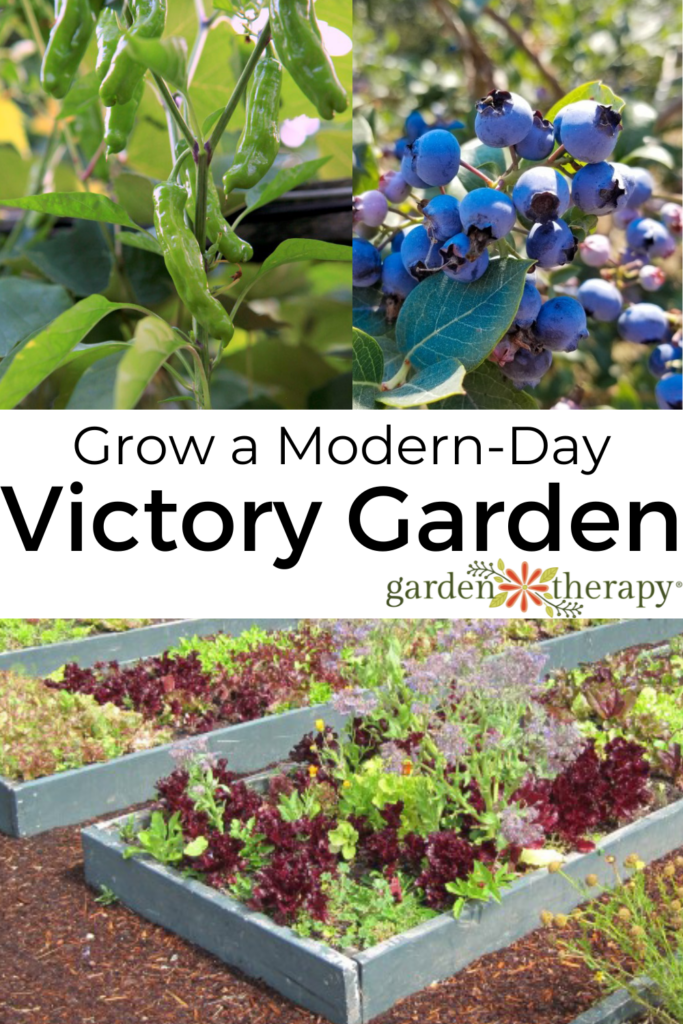 Pin image for how to grow a modern-day victory garden