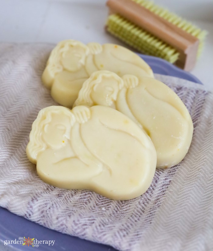 Budget-Friendly Soap Making With Lard Soap - Garden Therapy