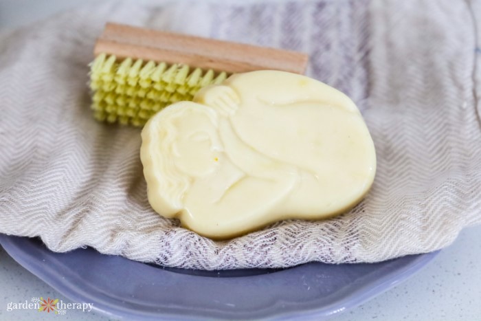 Winter Squash Lard Soap