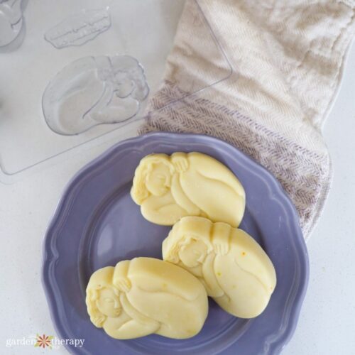 BudgetFriendly Soap Making With Lard Soap Garden Therapy