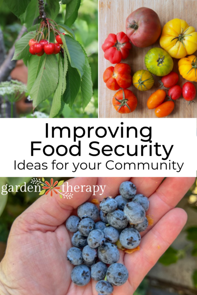 Pin image for improving food security within your community