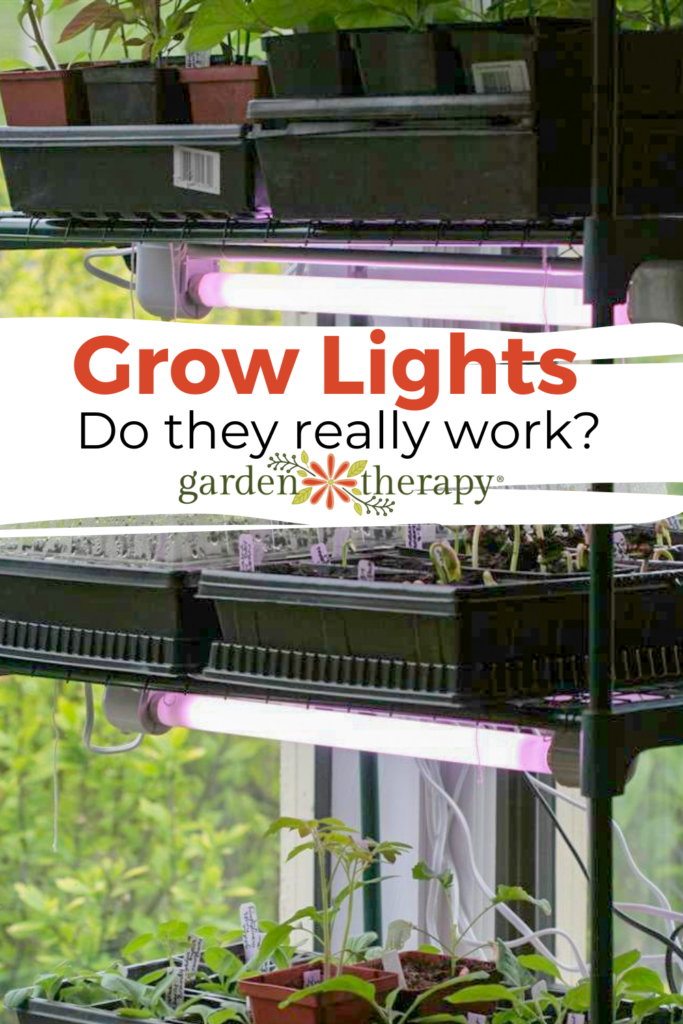 Fungujú pestovateľské svetlá pre izbové rastliny?  (A stoja za to?)