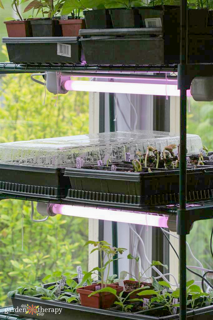 Best led grow lights deals for starting seeds