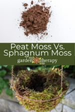 What's the Difference Between Sphagnum Moss vs Peat Moss? - Garden Therapy