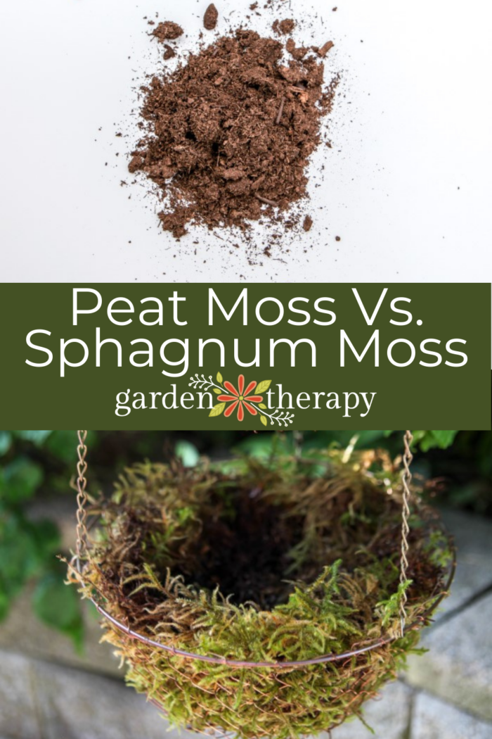 What's the Difference Between Sphagnum Moss vs Peat Moss? Garden Therapy
