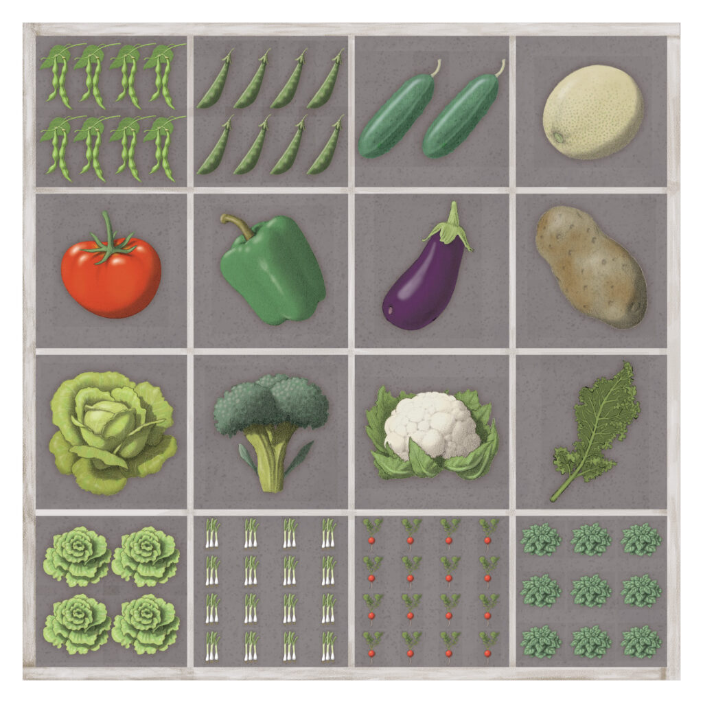 Square foot gardening example