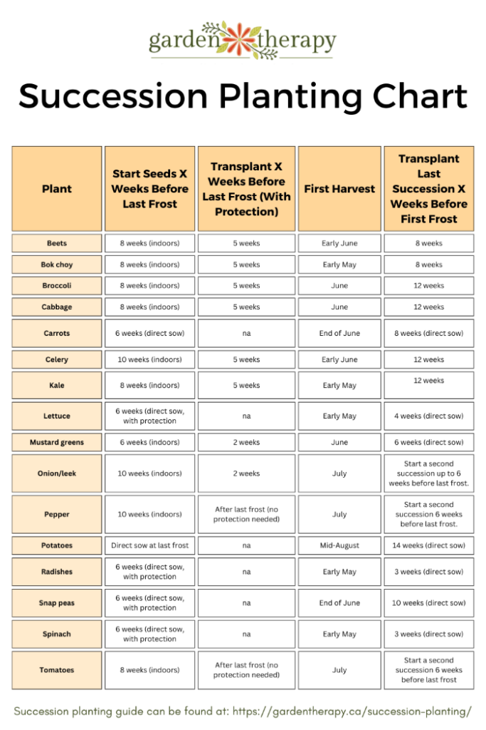 Succession Planting Chart