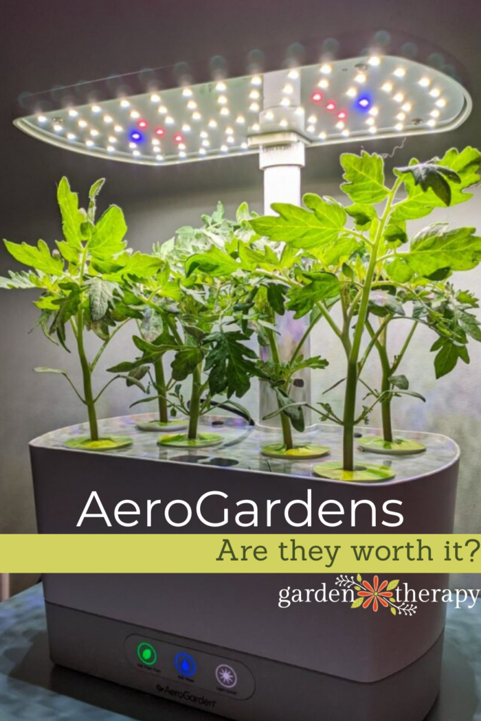 Is an AeroGarden Worth It? A Realistic Look Garden Therapy