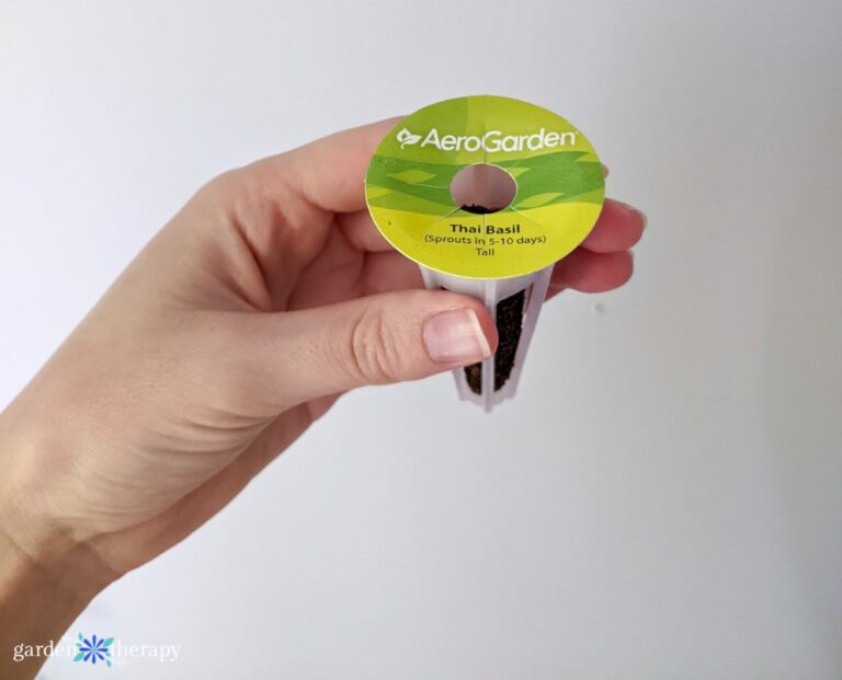 Is an AeroGarden Worth It? A Realistic Look Garden Therapy