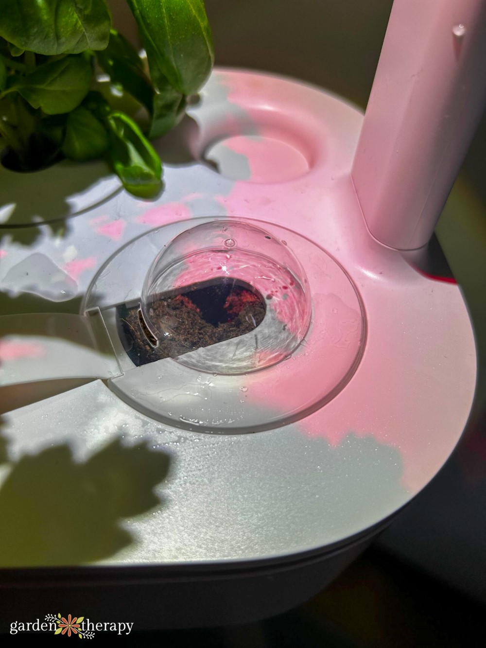 Is an AeroGarden Worth It? A Realistic Look Garden Therapy