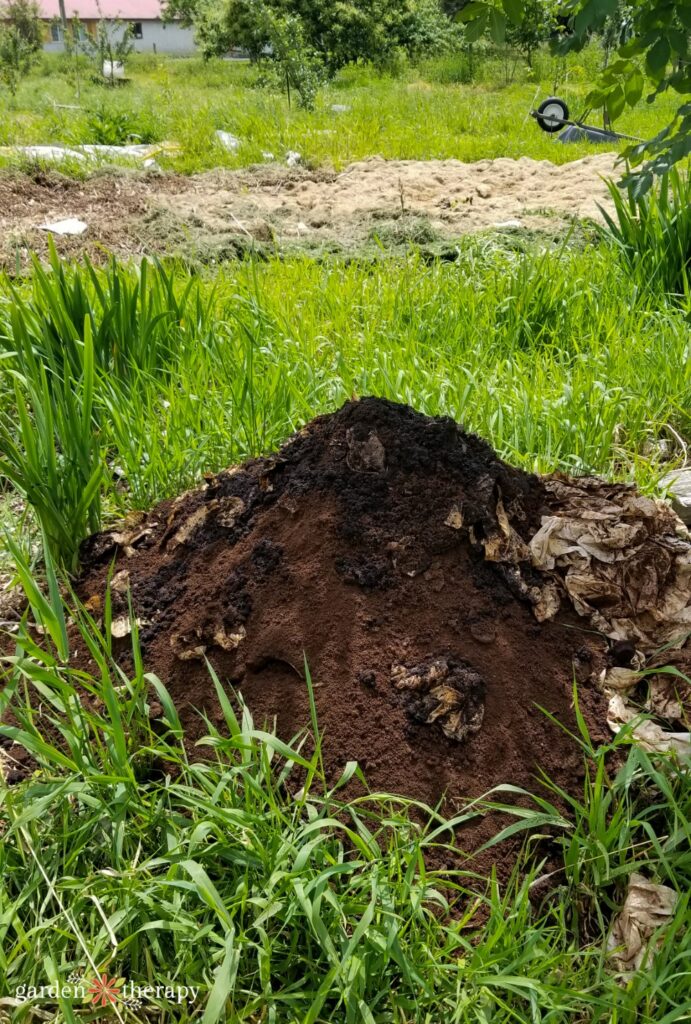 compost pile with coffee grounds on top