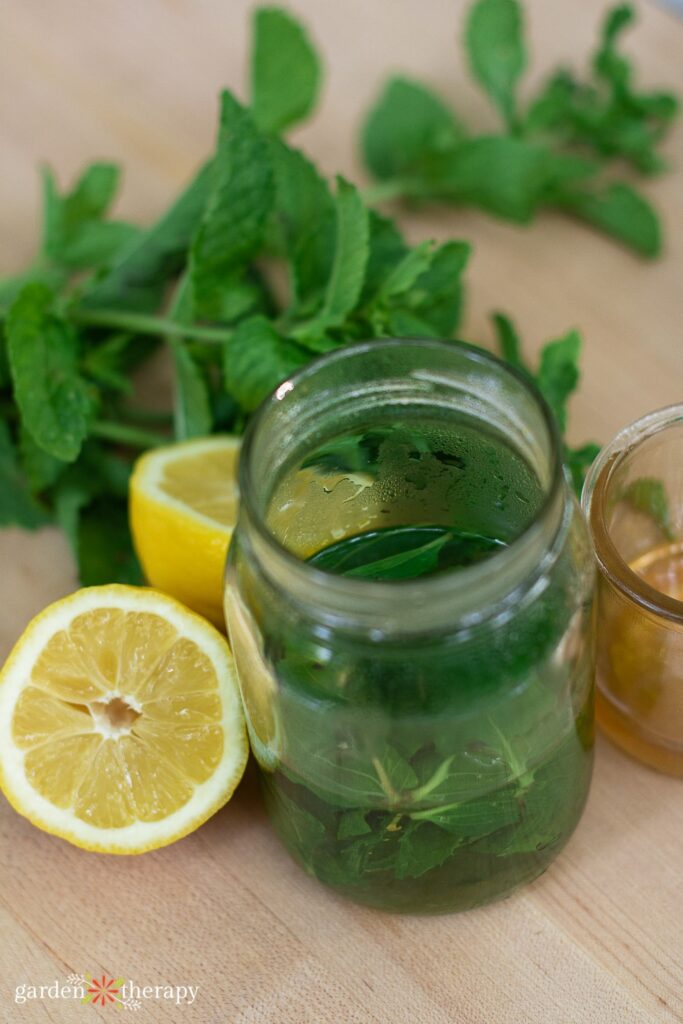 harvested mint and lemons in a jar