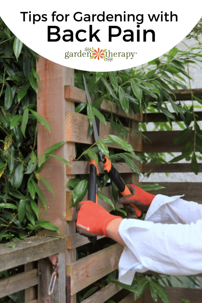 Pin image for how to garden with back pain