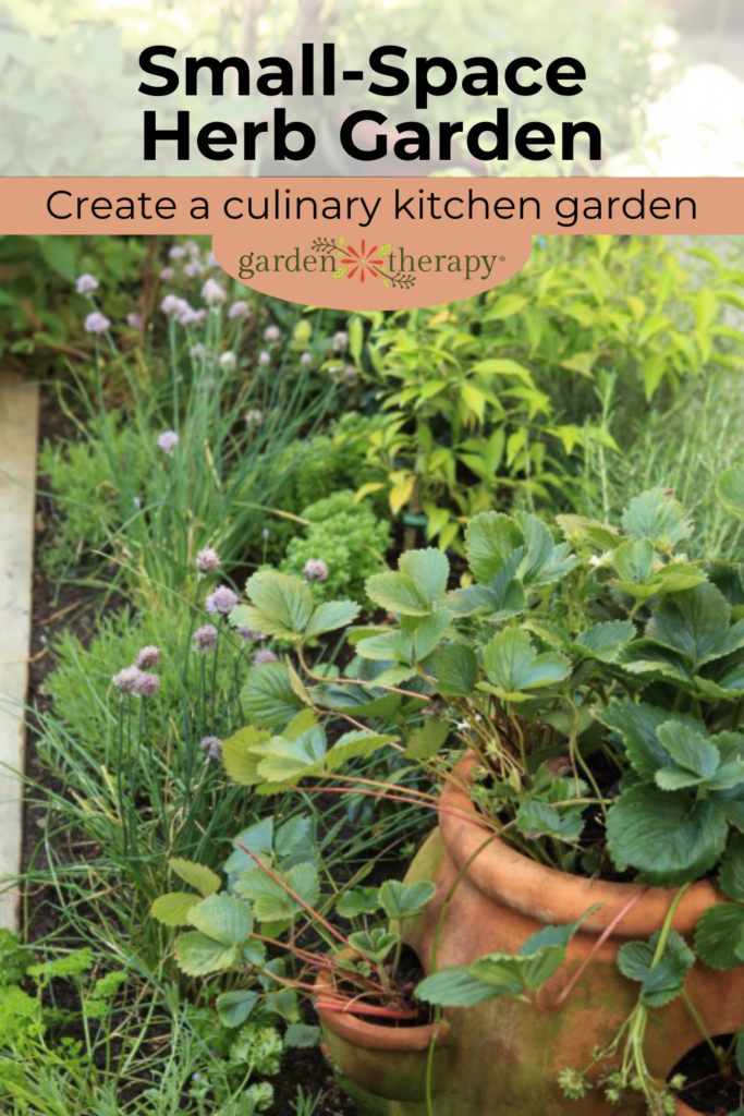 Pin image for planting herbs to create a small-space culinary kitchen garden.