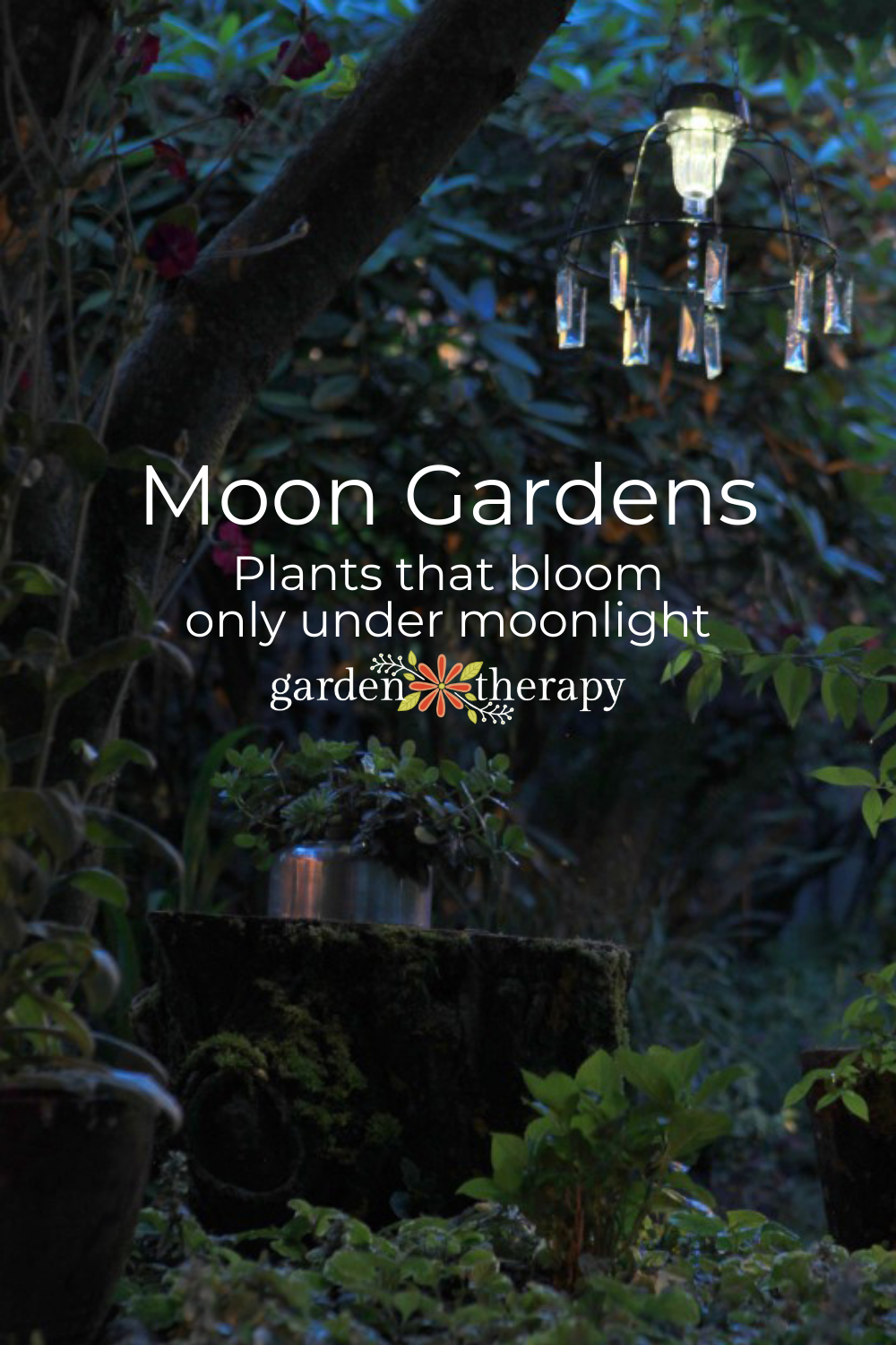 Gardening in the Moonlight: Plant Your Own Ethereal Moon Garden