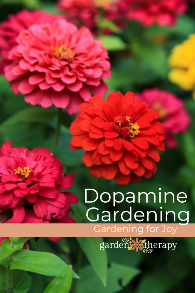 Pin image for dopamine gardening and how to garden for joy