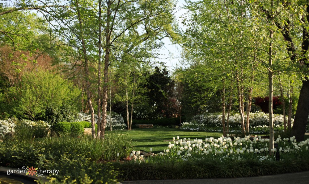 Moon Garden Dallas Arborteum