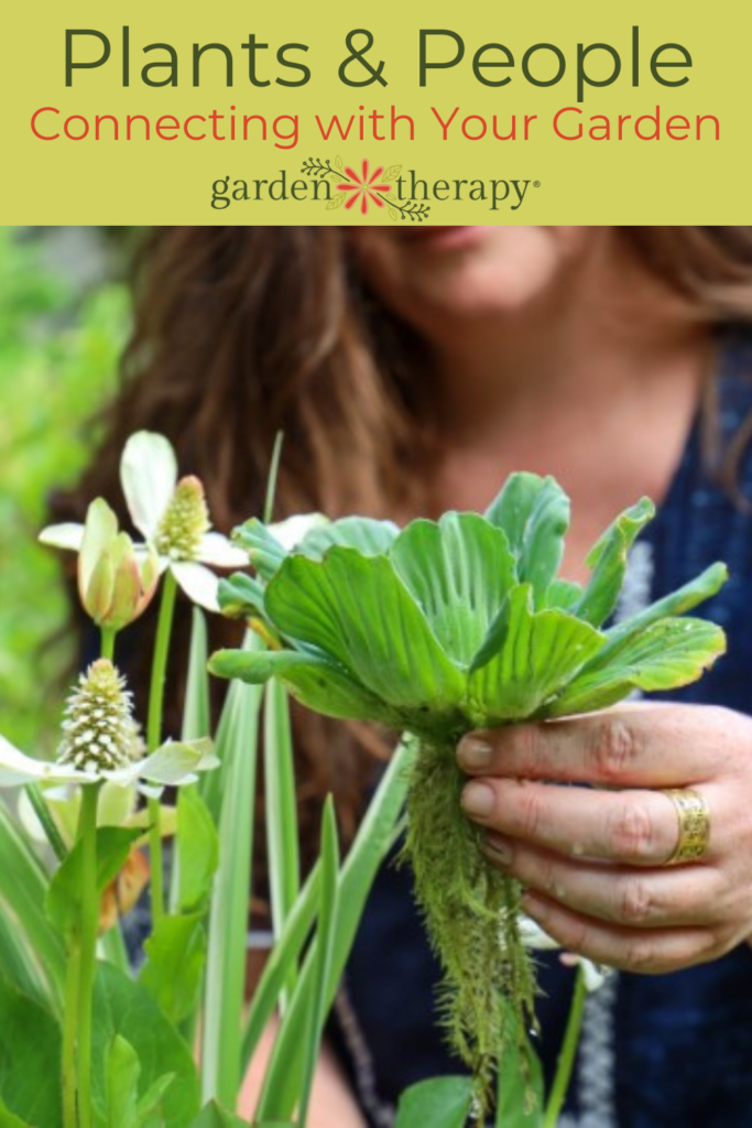 Pin image for the connection between plants and people and how to connect with your garden