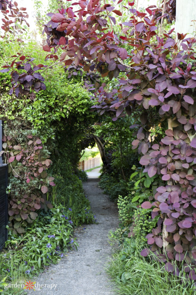 wildlife hedge creating a tunnel as a part of chaos gardening